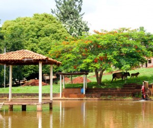 Recanto Uberlândia