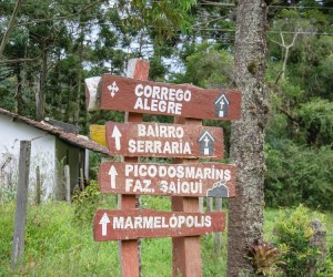 Wilson Órfão