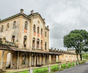 Wilson Órfão