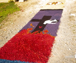 Corpus Christi  - Recanto São João Batista (SC)