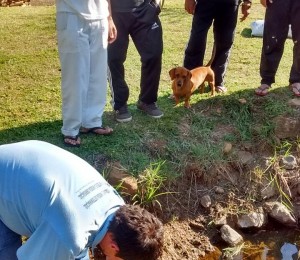 Recanto Guarapuava-PR, recebe doação de Alevinos 