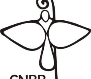 CNBB divulga nota sobre a inclusão da ideologia de gênero nos Planos de Educação