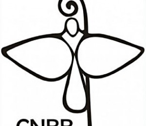 CNBB se posiciona sobre descriminalização do uso de drogas