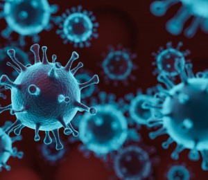 Comunidade Bethânia reforça medidas contra propagação do coronavírus